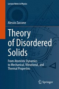 bokomslag Theory of Disordered Solids
