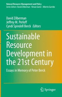 bokomslag Sustainable Resource Development in the 21st Century