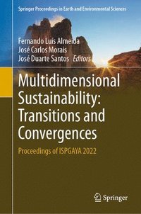 bokomslag Multidimensional Sustainability: Transitions and Convergences