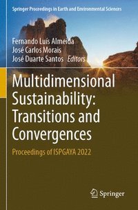 bokomslag Multidimensional Sustainability: Transitions and Convergences