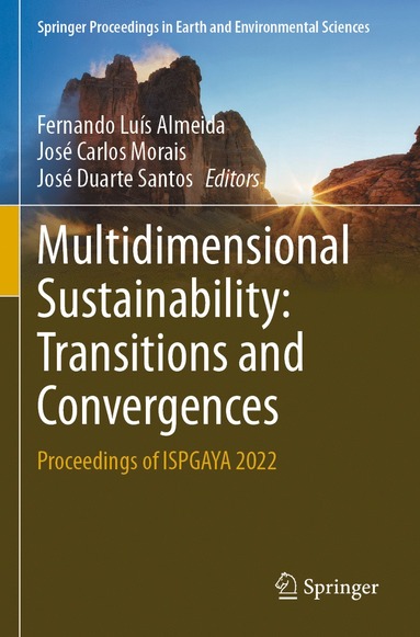 bokomslag Multidimensional Sustainability: Transitions and Convergences