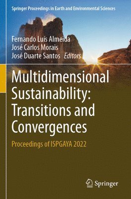 Multidimensional Sustainability: Transitions and Convergences 1