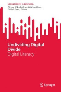 bokomslag Undividing Digital Divide