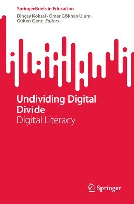 Undividing Digital Divide 1