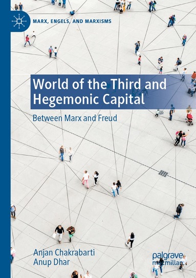 Anjan Chakrabarti, Anup Dhar - World of the Third and Hegemonic Capital, Häftad
