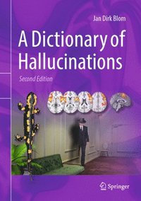 bokomslag A Dictionary of Hallucinations