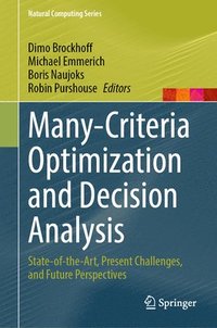 bokomslag Many-Criteria Optimization and Decision Analysis