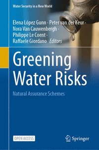 bokomslag Greening Water Risks