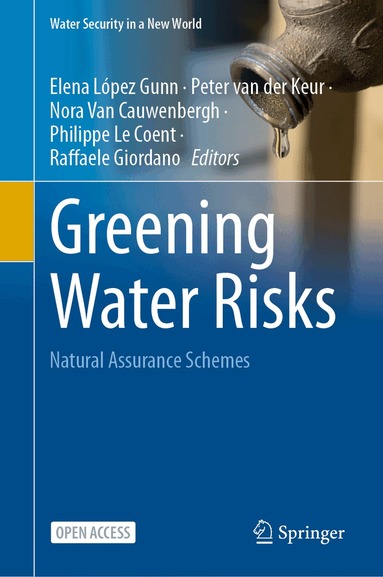 Elena López-Gunn, Peter van der Keur, Nora Van Cauwenbergh, Philippe Le Coent, Raffaele Giordano - Greening Water Risks, Inbunden