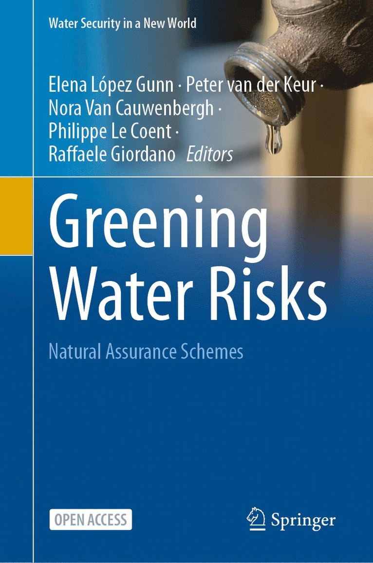 Elena López-Gunn, Peter van der Keur, Nora Van Cauwenbergh, Philippe Le Coent, Raffaele Giordano, Elena Lopez-Gunn, Peter Van Der Keur, Peter van der Keur, Nora van Cauwenbergh - Greening Water Risks, Inbunden