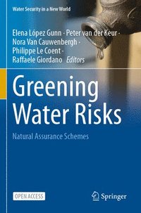 bokomslag Greening Water Risks