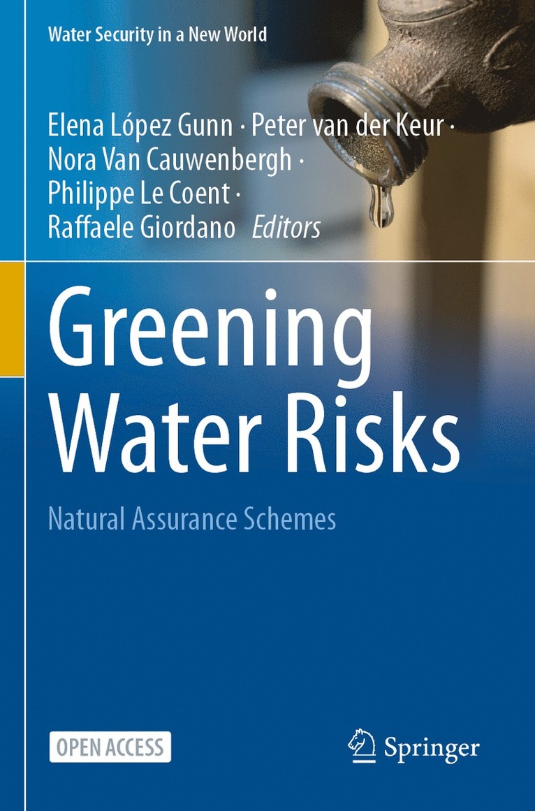 Elena López-Gunn, Peter van der Keur, Nora Van Cauwenbergh, Philippe Le Coent, Raffaele Giordano, Elena Lopez-Gunn, Peter Van Der Keur, Peter van der Keur, Nora van Cauwenbergh - Greening Water Risks, Häftad
