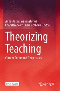 bokomslag Theorizing Teaching