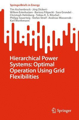 bokomslag Hierarchical Power Systems: Optimal Operation Using Grid Flexibilities