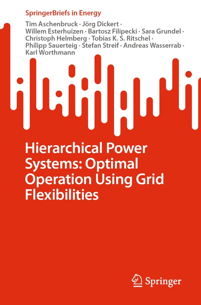 Tim Aschenbruck, Jörg Dickert, Willem Esterhuizen, Bartosz Filipecki, Sara Grundel, Christoph Helmberg, Tobias K. S. Ritschel, Philipp Sauerteig, Stefan Streif, Andreas Wasserrab, Karl Worthmann, Jorg Dickert - Hierarchical Power Systems: Optimal Operation Using Grid Flexibilities, Häftad