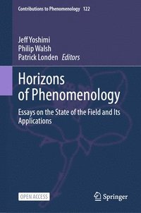 bokomslag Horizons of Phenomenology