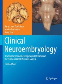 bokomslag Clinical Neuroembryology