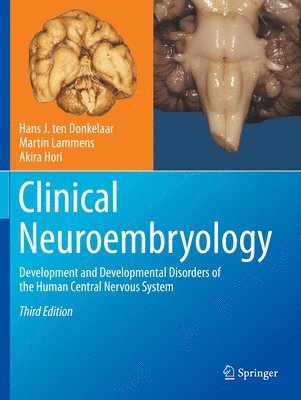 bokomslag Clinical Neuroembryology