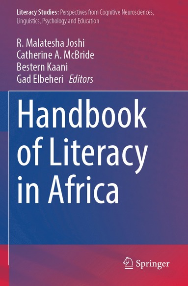 bokomslag Handbook of Literacy in Africa