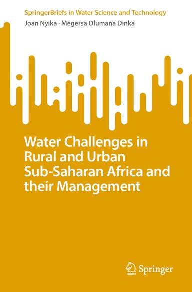 Joan Nyika, Megersa Olumana Dinka - Water Challenges in Rural and Urban Sub-Saharan Africa and their Management, Häftad