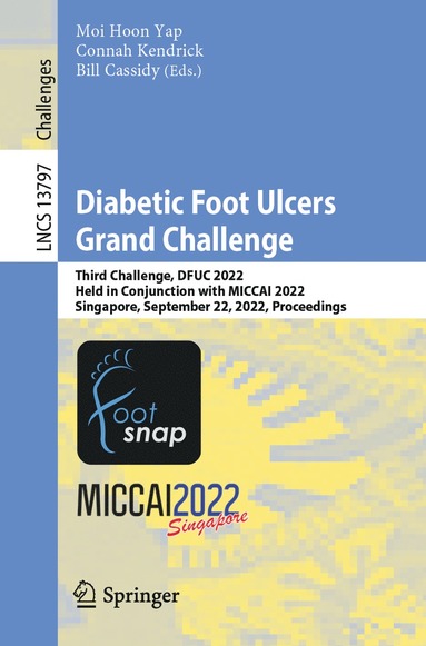 bokomslag Diabetic Foot Ulcers Grand Challenge