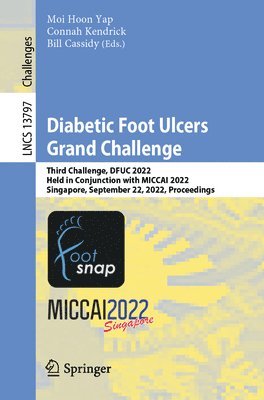 Moi Hoon Yap, Connah Kendrick, Bill Cassidy - Diabetic Foot Ulcers Grand Challenge, Häftad