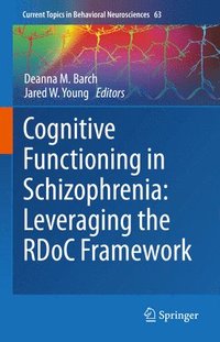 bokomslag Cognitive Functioning in Schizophrenia:  Leveraging the RDoC Framework