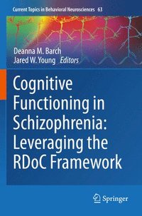 bokomslag Cognitive Functioning in Schizophrenia:  Leveraging the RDoC Framework