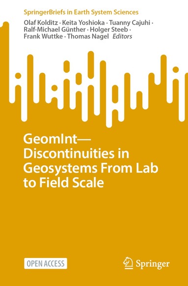 Olaf Kolditz, Keita Yoshioka, Tuanny Cajuhi, Ralf-Michael Günther, Holger Steeb, Frank Wuttke, Thomas Nagel - GeomInt—Discontinuities in Geosystems From Lab to Field Scale, Häftad