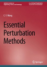 bokomslag Essential Perturbation Methods