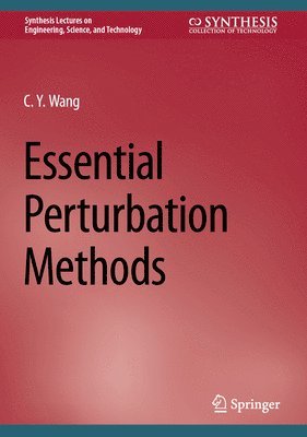 bokomslag Essential Perturbation Methods