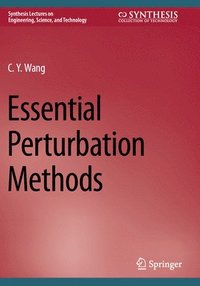 bokomslag Essential Perturbation Methods