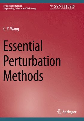 bokomslag Essential Perturbation Methods