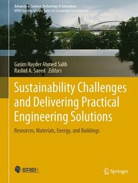 bokomslag Sustainability Challenges and Delivering Practical Engineering Solutions