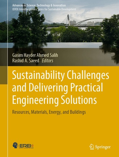 Gasim Hayder Ahmed Salih, Rashid A. Saeed - Sustainability Challenges and Delivering Practical Engineering Solutions, Inbunden