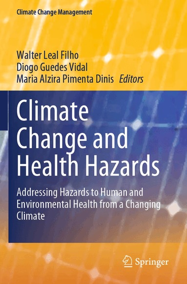 Walter Leal Filho, Diogo Guedes Vidal, Maria Alzira Pimenta Dinis - Climate Change and Health Hazards, Häftad