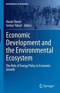 bokomslag Economic Development and the Environmental Ecosystem