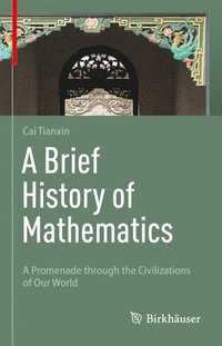 bokomslag A Brief History of Mathematics
