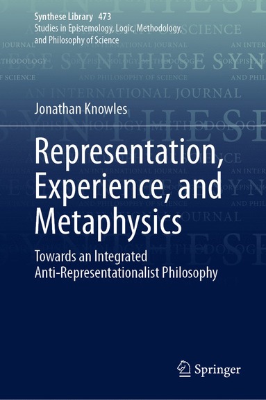 bokomslag Representation, Experience, and Metaphysics