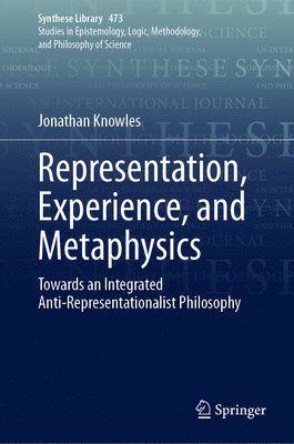 Representation, Experience, and Metaphysics 1