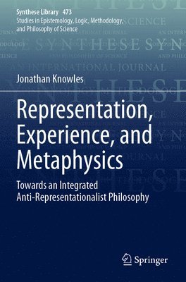 bokomslag Representation, Experience, and Metaphysics