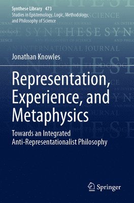 Jonathan Knowles - Representation, Experience, and Metaphysics, Häftad