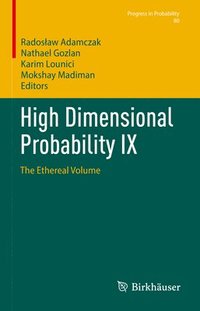bokomslag High Dimensional Probability IX