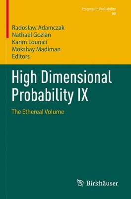 Radosław Adamczak, Nathael Gozlan, Karim Lounici, Mokshay Madiman, Radoslaw Adamczak, Rados¿aw Adamczak - High Dimensional Probability IX, Häftad