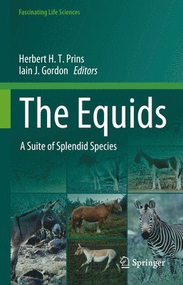 bokomslag The Equids