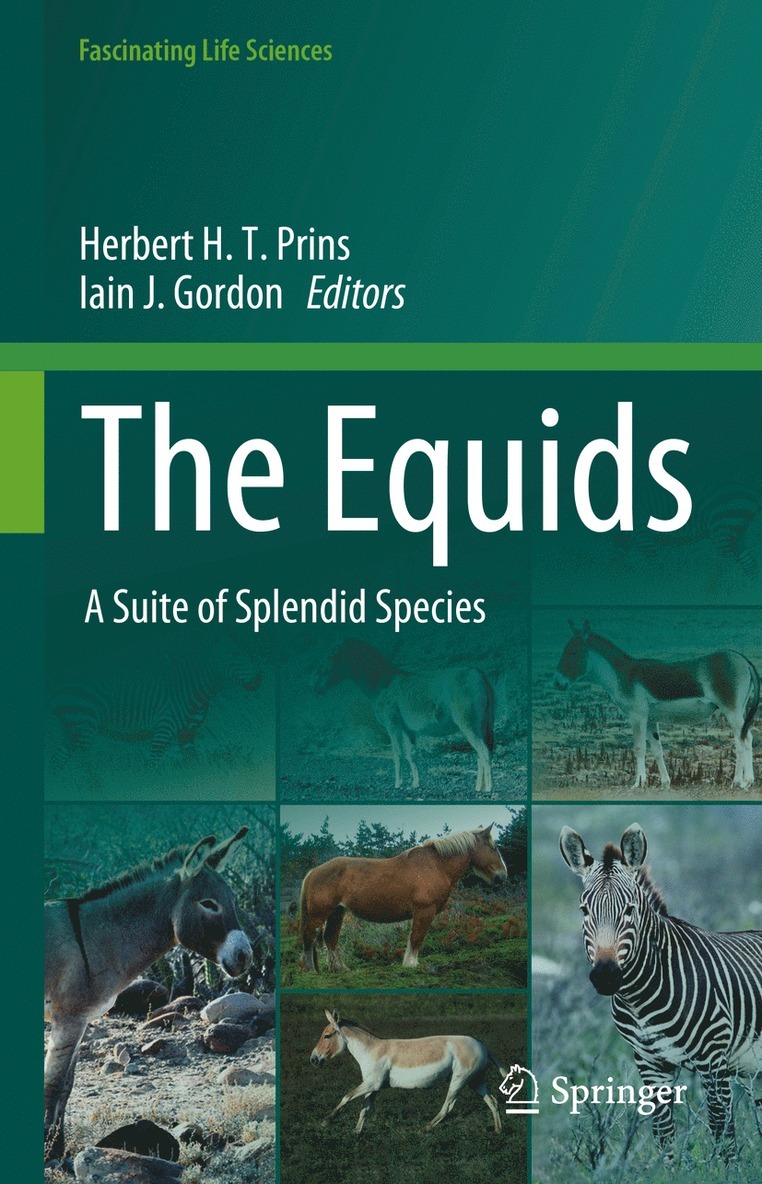 Equids