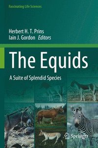 bokomslag The Equids