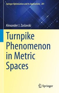 bokomslag Turnpike Phenomenon in Metric Spaces