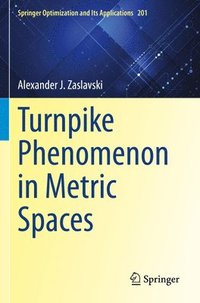 bokomslag Turnpike Phenomenon in Metric Spaces