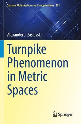 Alexander J. Zaslavski - Turnpike Phenomenon in Metric Spaces, Häftad